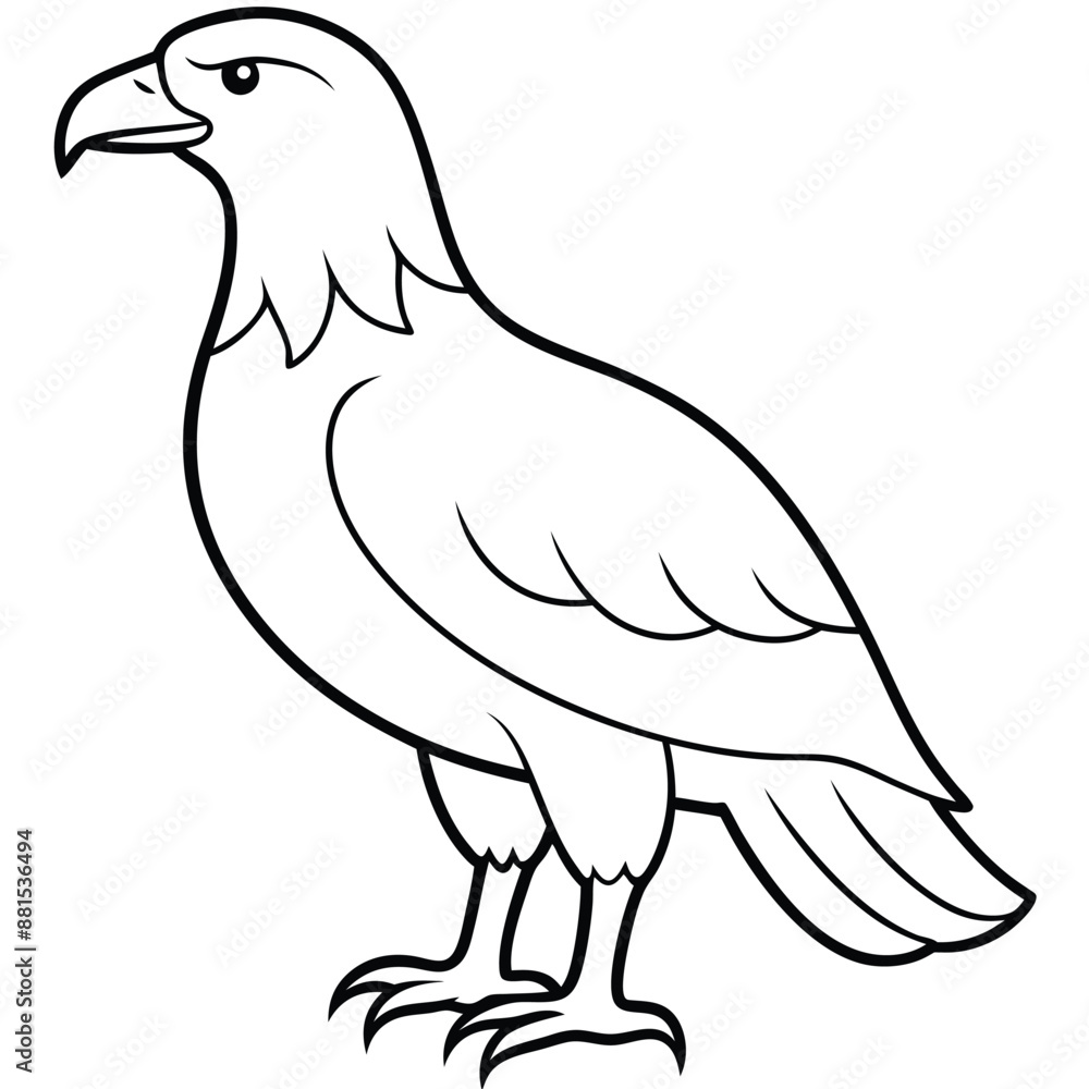 Golden Eagle full body vector illustrator, Hawk black icon, Hawk silhouette. Golden Eagle full body vector illustrator, Hawk black icon, Hawk silhouette.