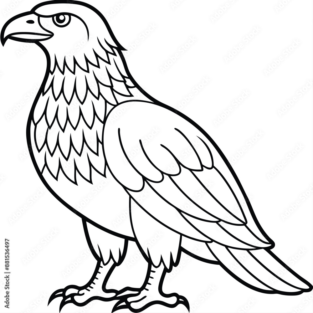 Fototapeta premium Golden Eagle full body vector illustrator, Hawk black icon, Hawk silhouette.