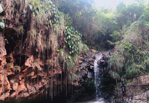 waterfall in the forest