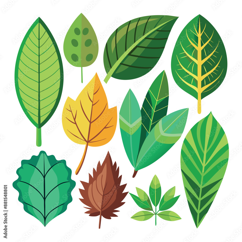 Obraz premium realistic collection of leaves icons