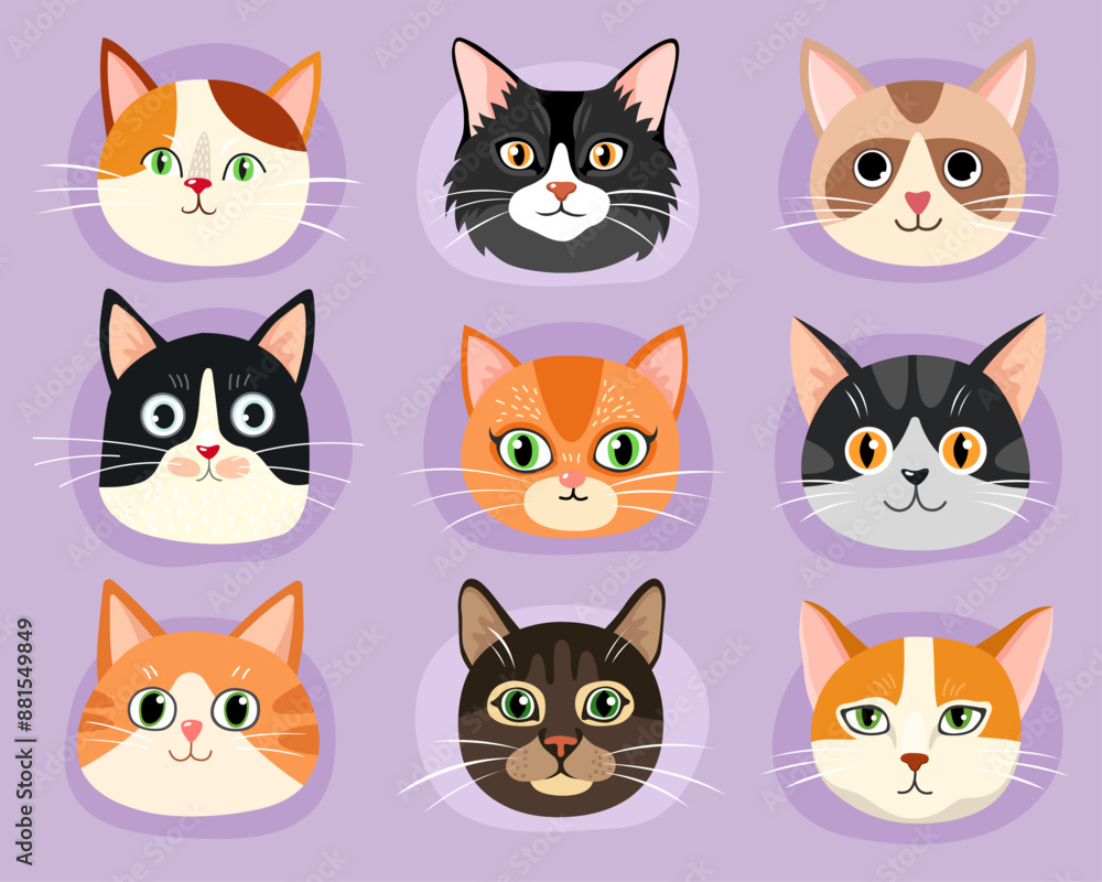 Fototapeta premium Collection of different faces of cats. Red, black, brown cats. Tabby, siamese and calico cute cats. Characters. Cartoon flat illustrations of kittens. Emotions. Animal faces.