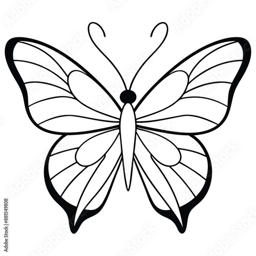 Butterfly Silhouette in Mariposa vector format only Black, Beautiful black and white butterfly isolated vector image