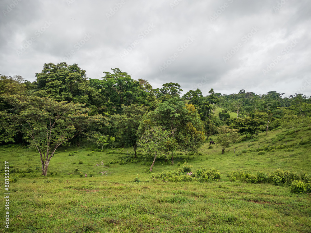 Pradera en Comarca Pradera en Comarca