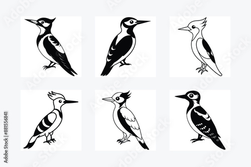 Woodpecker Bird Silhouette Vector illustration black and white