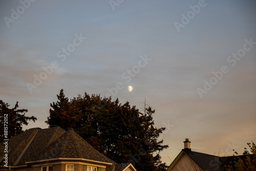 Canvas Print Evening descends on a peaceful suburb - waxing gibbous moon presides over twilight-painted rooftops - lone tree stands against the fading day