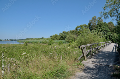 Footpath at Dreifelder Weiher Nature Reserve,Westerwald,Westerwaldkreis,Rhineland-Palatinate,Germany photo