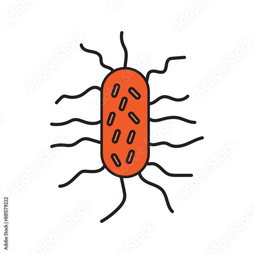 salmonella