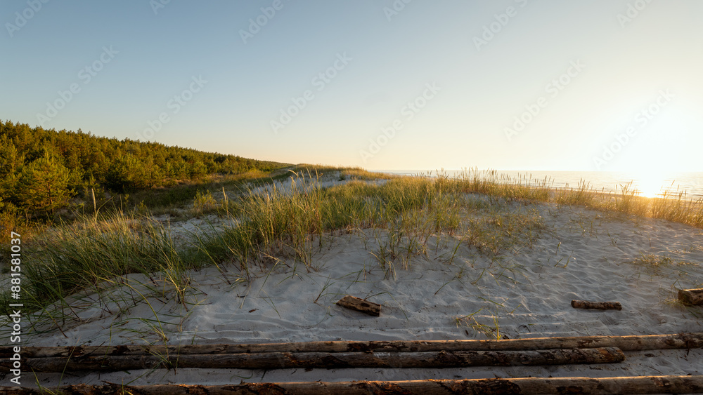 Sunset on a beautiful beach on the Baltic Sea with dunes covered with grass. Wooden trunks in the foreground. Golden hour. Slajszewo, Poland