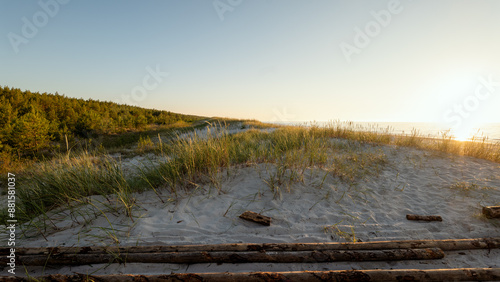 Obraz na płótnie Sunset on a beautiful beach on the Baltic Sea with dunes covered with grass. Wooden trunks in the foreground. Golden hour. Slajszewo, Poland w salonie