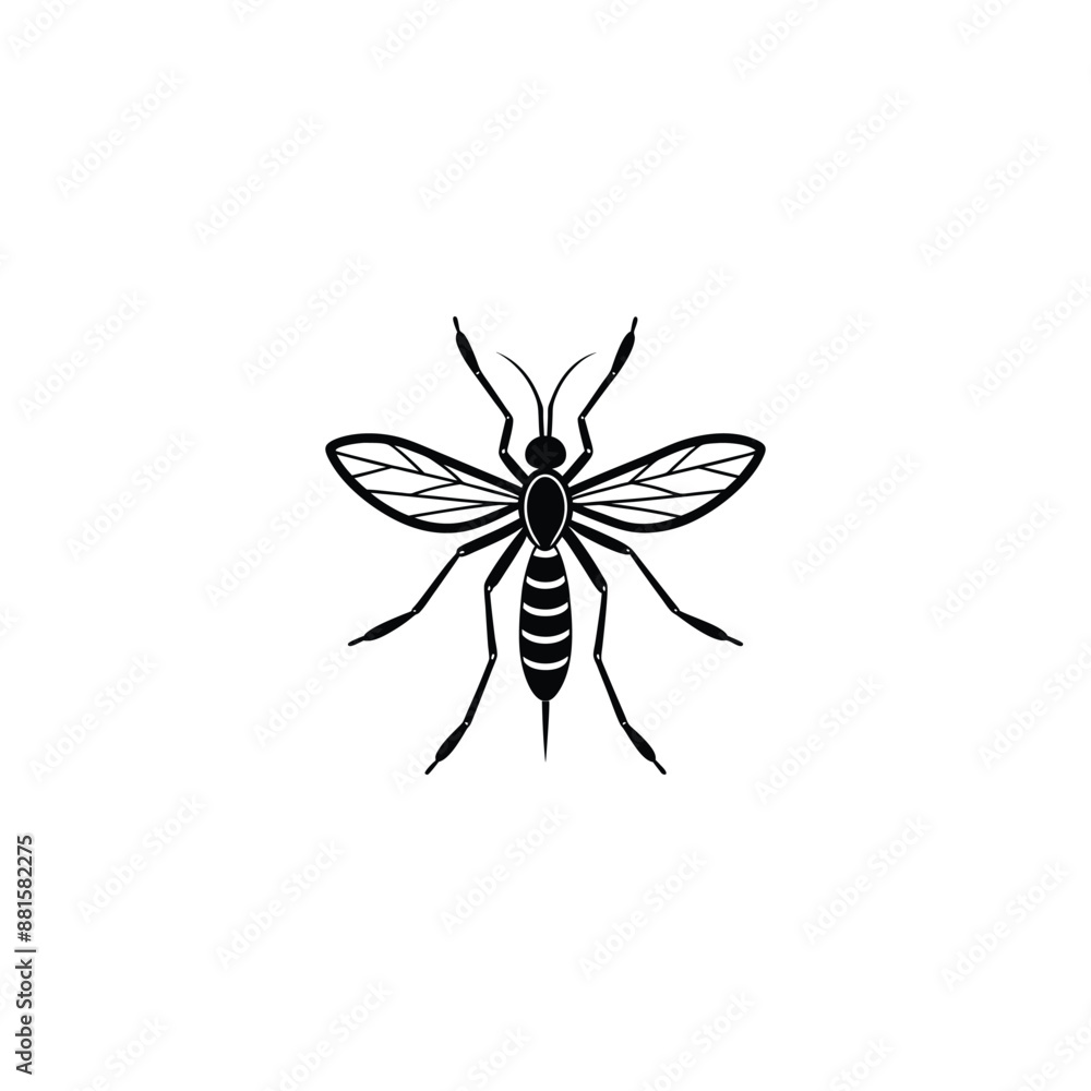 mosquito white background no crop mosquito white background no crop