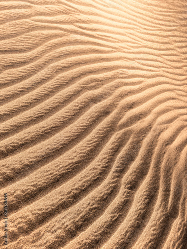 sand ripples in the desert