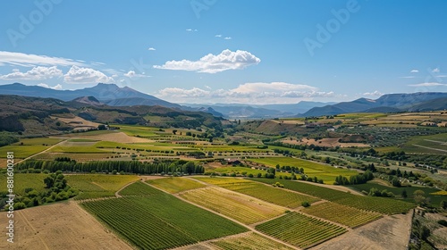 An aerial view captured by a drone, showcasing vineyard fields in the Somontano Designation of Origin wine region, located in the province of Huesca, Aragon, Spain. photo