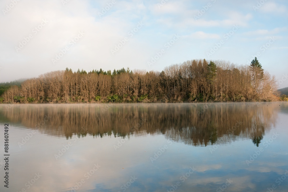 lake in the woods lake in the woods