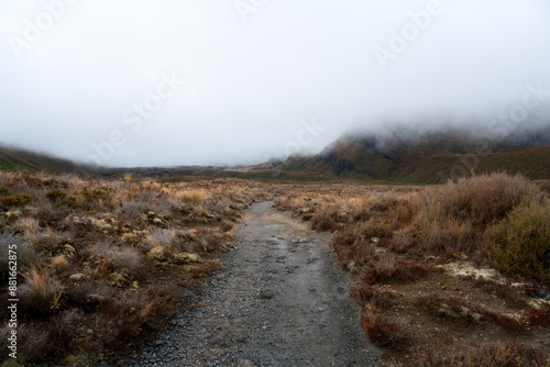 hiking path in the mountains on a cloudy day. © Louis