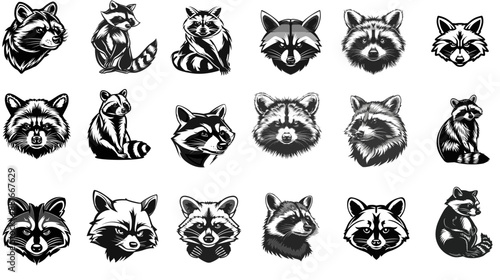 Exploring Wildlife through Raccoon Vector Art