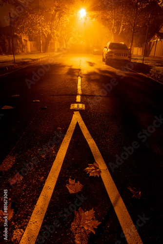 Foggy street in morning illuminated by a streetlight photo