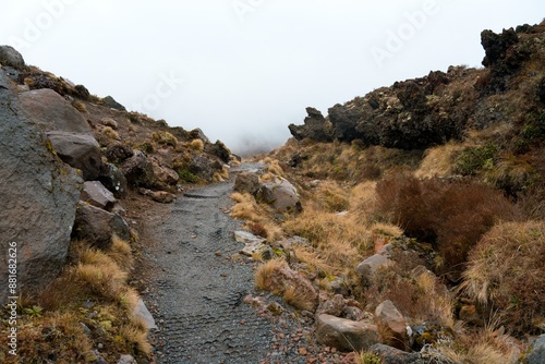 hiking path in the mountains on a cloudy day.