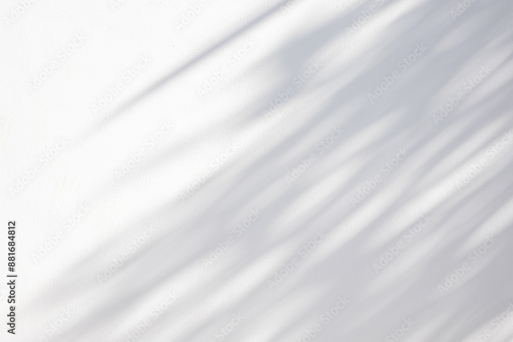 Abstract natural tree leaves shadow on white wall background Abstract natural tree leaves shadow on white wall background