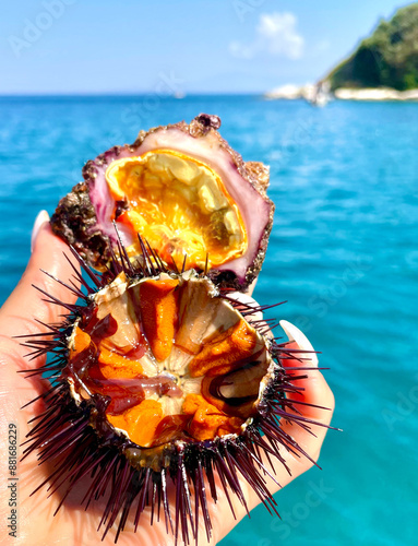 Microcosmus Sabatieri (Fouska) and Sea Urchin with Roe Held by Hand Against Blue Ocean – Unique Mediterranean Seafood Delicacies