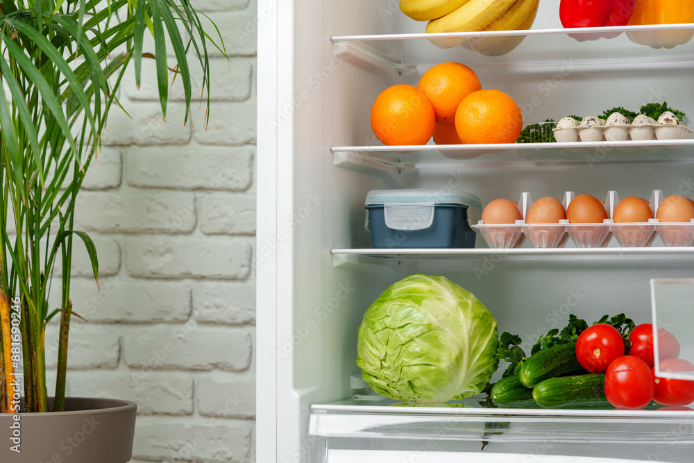 Well-Stocked Refrigerator With Fresh Produce, Eggs, and Other Groceries Well-Stocked Refrigerator With Fresh Produce, Eggs, and Other Groceries