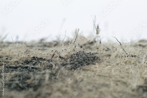 Detailed photography of roof covering material with asbestos fibres. photo