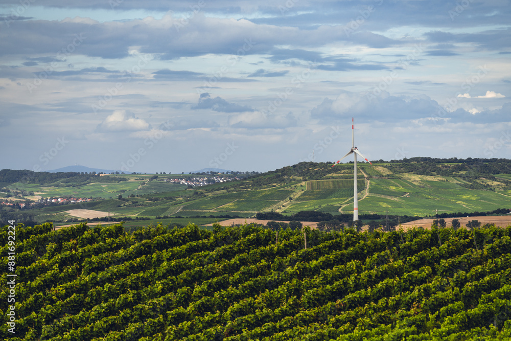 Blick über Weinberge in Wöllstein zum Wißberg und Großer Feldberg, Juli 2024