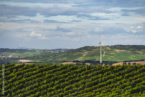 Obraz na płótnie Blick über Weinberge in Wöllstein zum Wißberg und Großer Feldberg, Juli 2024 w salonie