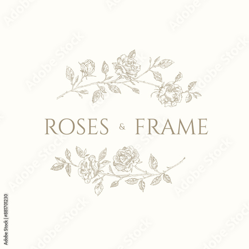 Frame of roses. Decorative element. 