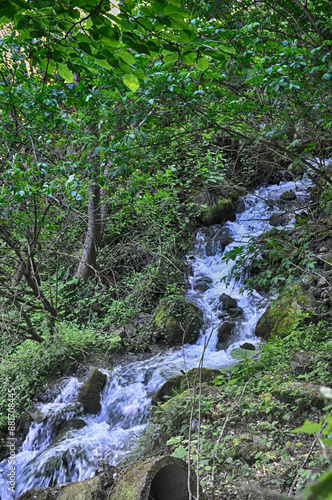 Water stream flowing into the forest in Yedi Goller (Seven Lakes) National Park, Bolu, Turkey photo