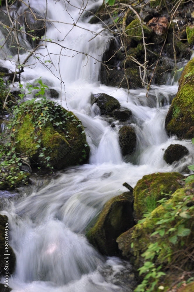 Water stream flowing into the forest in Yedi Goller (Seven Lakes) National Park, Bolu, Turkey Water stream flowing into the forest in Yedi Goller (Seven Lakes) National Park, Bolu, Turkey