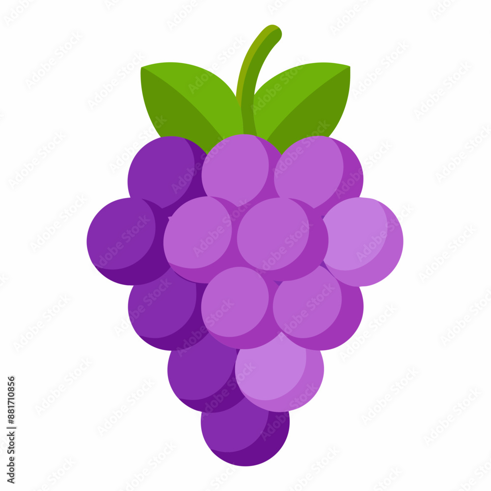 Grapes vector illustration, Bunch of grapes vector art, Grapes silhouette, Bunch of grapes cartoon vector icon Grapes vector illustration, Bunch of grapes vector art, Grapes silhouette, Bunch of grapes cartoon vector icon