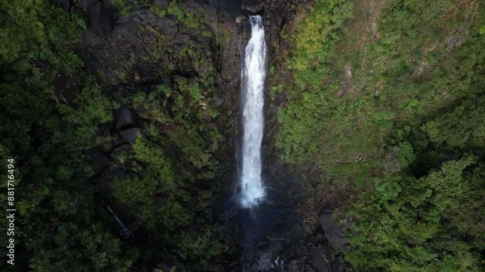Stunning Tall Waterfalls Of Wairere Falls Over The Kaimai Escarpment In North Island, New Zealand. Aerial Tilt-up Shot Stunning Tall Waterfalls Of Wairere Falls Over The Kaimai Escarpment In North Island, New Zealand. Aerial Tilt-up Shot