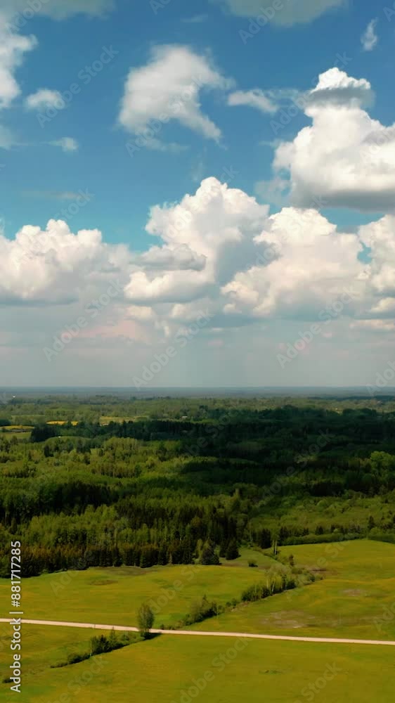 Aerial View of Forest in Verdant Countryside. Vertical Video. Aerial View of Forest in Verdant Countryside. Vertical Video.