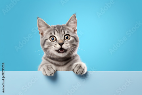a cat with its paws on a blue background