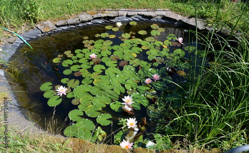 Gartenteich photo