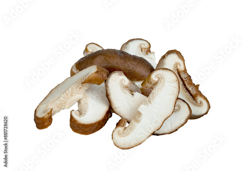 Shiitake Mushrooms sliced isolated photo