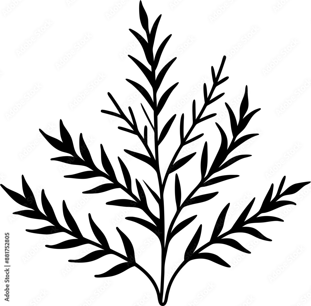 hornwort hornwort