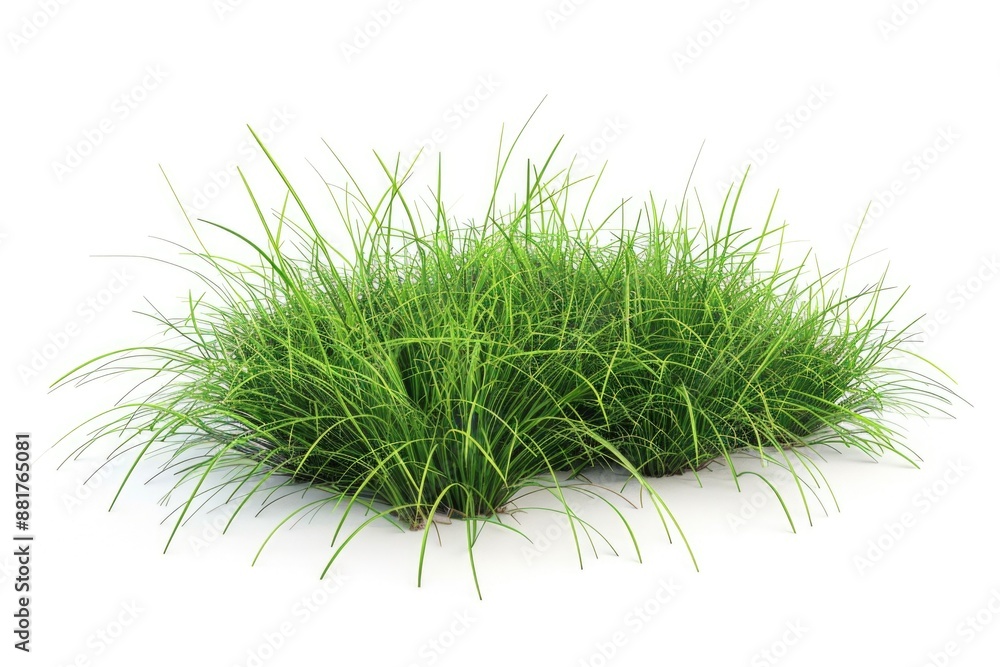 A close-up shot of green grass sitting on a white surface, ideal for use in designs related to nature and simplicity A close-up shot of green grass sitting on a white surface, ideal for use in designs related to nature and simplicity