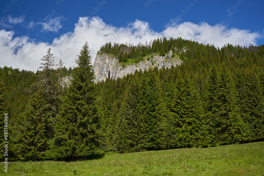 Fototapeta premium Summer alpine landscape
