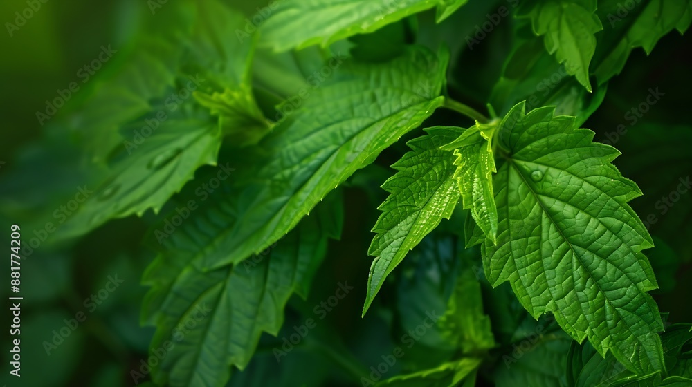 green leaves in the detail : Generative AI green leaves in the detail : Generative AI