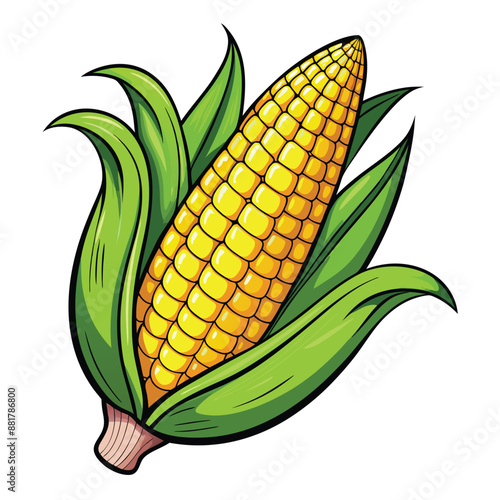 Hand drawn corn on the cob drawing Vector illustration
