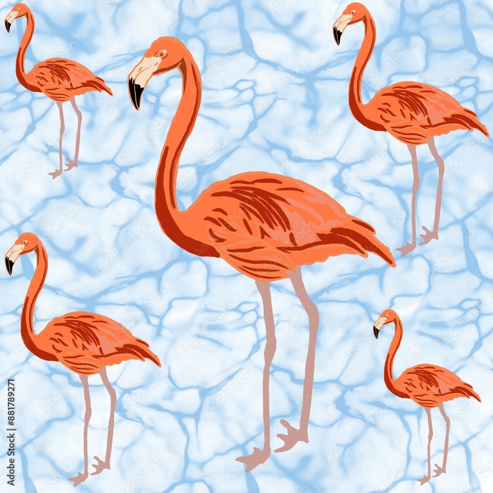 Obraz premium flamingos in water