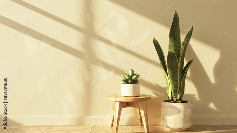 Fototapeta premium 3D rendering of a wooden side table with potted plants and a snake plant in a white pot on a light beige wall background. A minimal home interior design of a modern living room