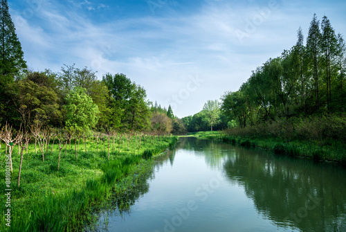 lake in the forest