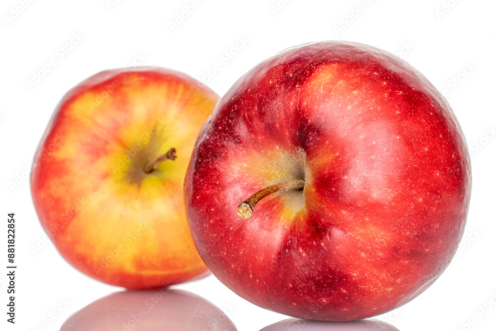 Two red apples, macro, isolated on white background. Two red apples, macro, isolated on white background.
