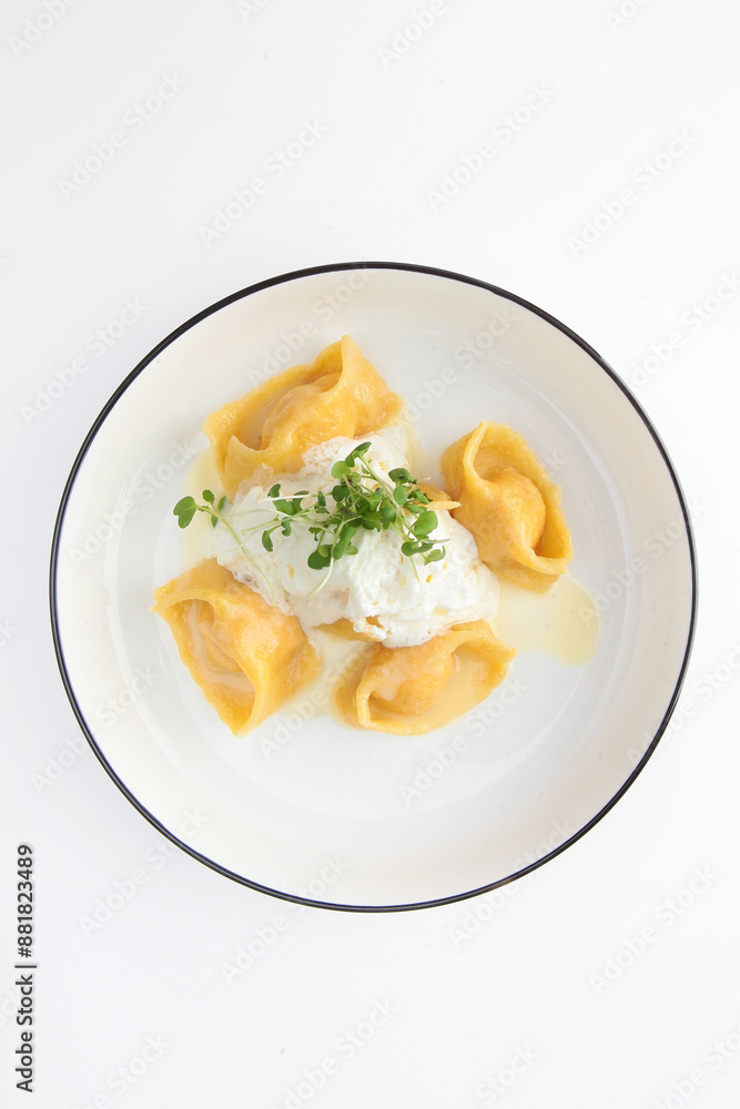 Ravioli with salmon on a white plate. Copy space. Isolated object. Top view. Ravioli with salmon on a white plate. Copy space. Isolated object. Top view.