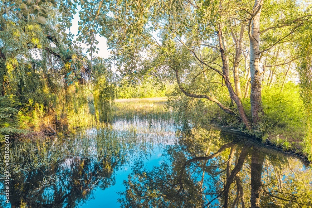 Fototapeta premium Beautiful calm pond water reflection yellow green leaves blooming on lake shore. Perfect spring summer scene. Tranquil nature morning meadow near river. Pastel colors forest foliage. Beauty outdoors