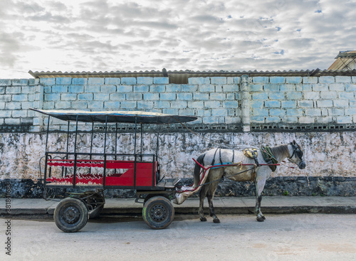 Trinidad, Sancti Spíritus, Cuba - January 26, 2016: A horse is standing with carriage on the road against an old wall of a house
 photo