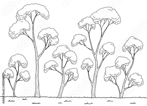 Forest glade graphic black white landscape sketch illustration vector 
