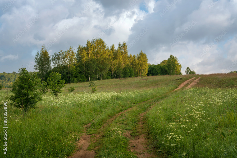 Obraz premium View of the country road through the Izborsko-Malskaya valley on a sunny summer morning, Izborsk, Pechersk district, Pskov region, Russia